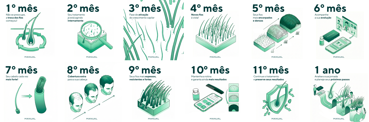 As 12 ilustrações da timeline de tratamento, do 1º mês a 1 ano