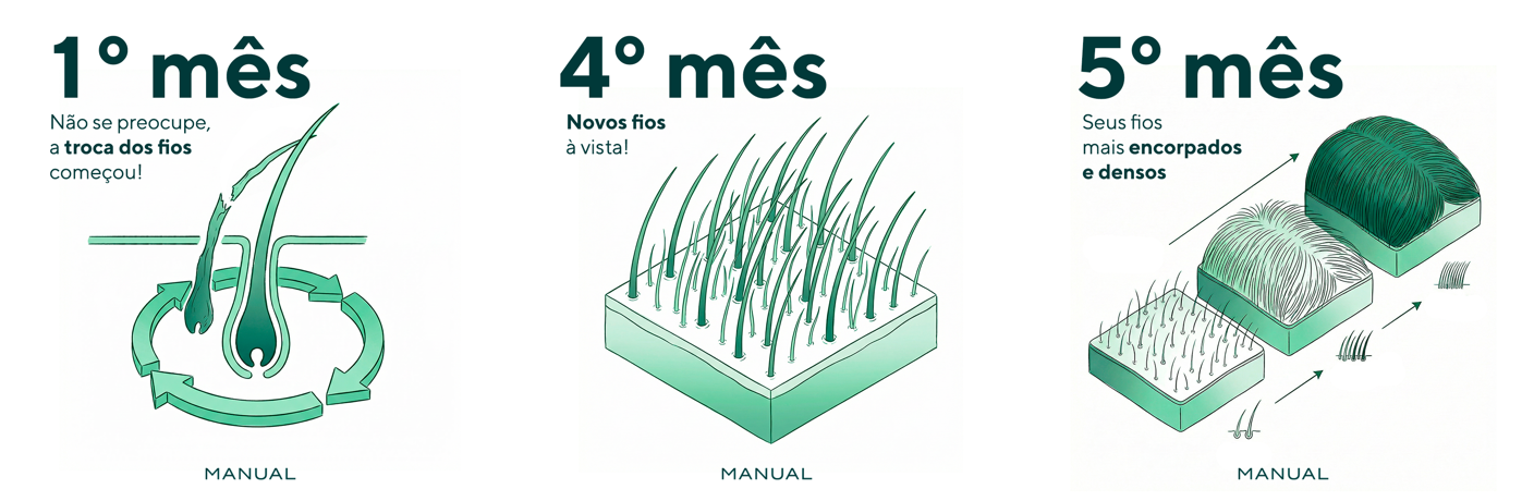 Mês 1, mês 4 e mês 5, as três que mapeiam nas fases